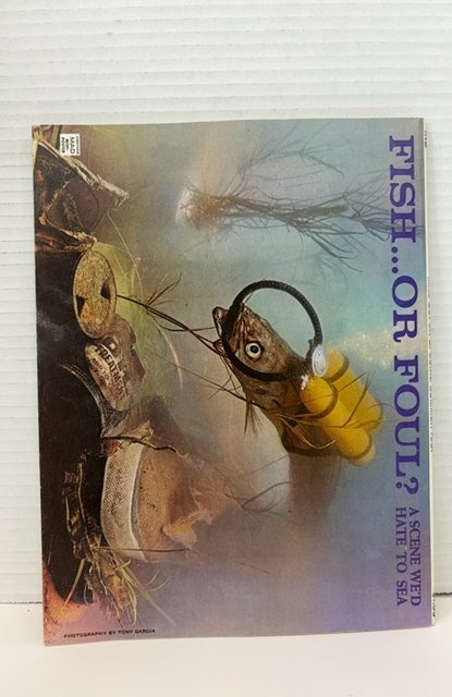 MAD Special #35 (1981)