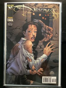 The Darkness #21 (1999)