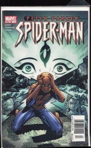 Peter Parker: Spider-Man #48 (2002)