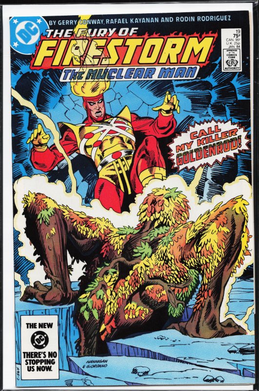 The Fury of Firestorm #19 (1984) Firestorm