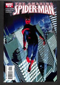 The Amazing Spider-Man #522 (2005)