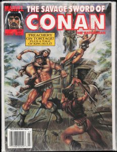 The Savage Sword of Conan #199 (1992) Conan