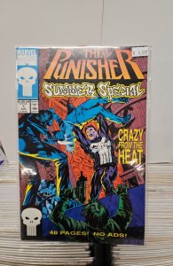 The Punisher Summer Special #1 (1991)