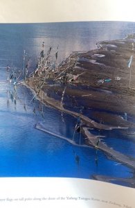 Buddha, the living Way, IYER,photo by Trimmingham