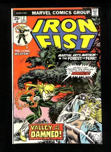 Iron Fist #2