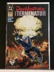 Deathstroke the Terminator #20 (1993)