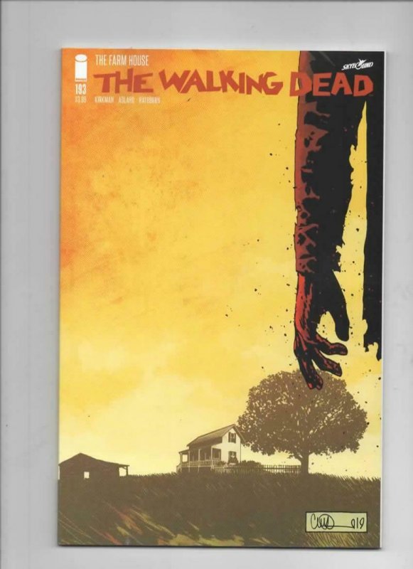 WALKING DEAD #193, NM, Zombies, Horror, Fear, Kirkman, 2003 2019, more TWD