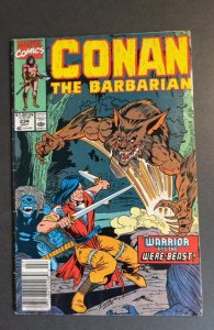 Conan the Barbarian #234 (1990)