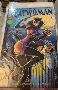 Catwoman #1 (1993) Catwoman 