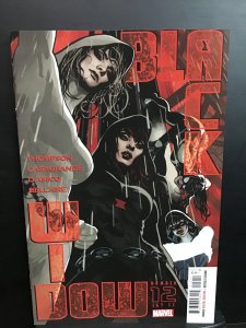 Black Widow #12 (2021)