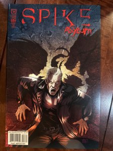 Spike: Asylum #3 (2006)