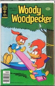 Walter Lantz Woody Woodpecker #180 (1979)