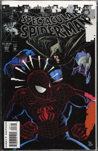 The Spectacular Spider-Man #207 (1993) Spider-Man