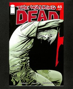 Walking Dead #45