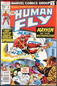 The Human Fly #8 (1978) FN