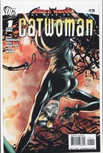 Bruce Wayne: The Road Home: Catwoman (2010) Catwoman