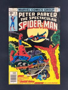 The Spectacular Spider-Man #6 (1977)