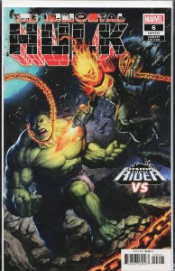 The Immortal Hulk #6 Variant Cover (2018) Hulk