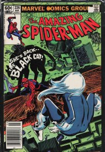 The Amazing Spider-Man #226 (1982) Spider-Man