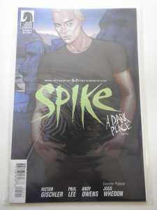 Spike #5 Jenny Frison Cover (2013)