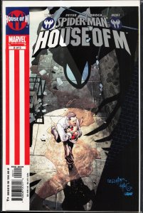 Spider-Man: House of M #2 (2005) Spider-Man