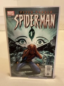 Peter Parker: Spider-Man #48  2002  9.0 (our highest grade)