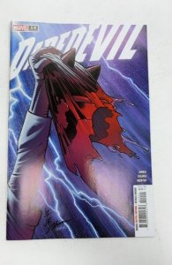 Daredevil #14  (2024)