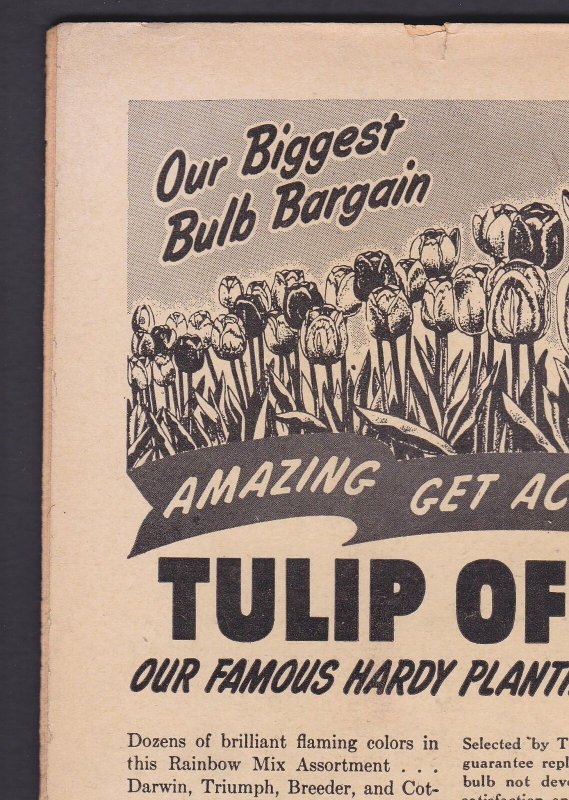 TerryToons Comics #72 6.0 FN Timely - Feb 1949 