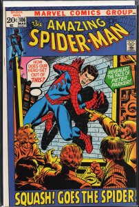 The Amazing Spider-Man #106 (1972) Spider-Man