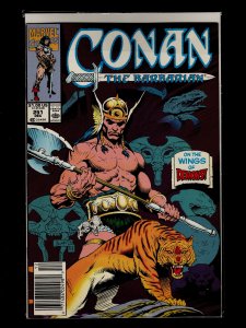 Conan the Barbarian #246,251,252,253,254,255,256,257,258,259,260 (1991)