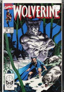 Wolverine #25 (1990) Wolverine