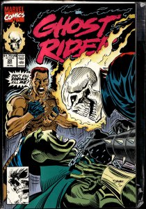 Ghost Rider #20 (1991) Ghost Rider