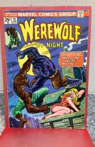 Werewolf by Night #18 (1974)