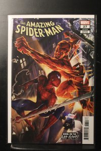 The Amazing Spider-Man #27 Variant Cover (2019)