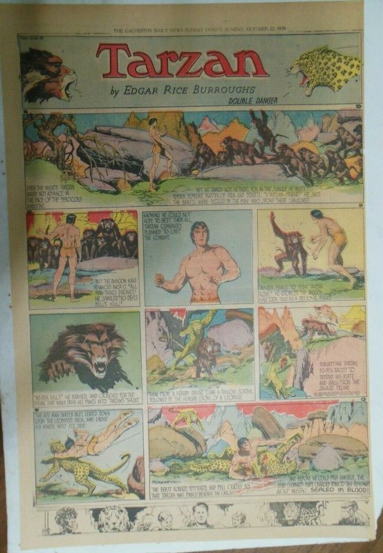 Tarzan Sunday Page #450 Burne Hogarth from 10/22/1939 Very Rare Full Page Size 