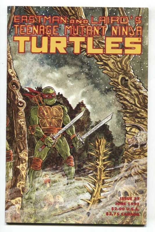 TEENAGE MUTANT NINJA TURTLES #37-Mirage comic book 1991