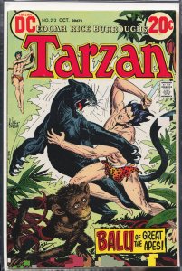 Edgar Rice Burroughs' Tarzan #213 (1972)