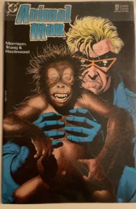 Animal Man #11-31 (1989) all high grade