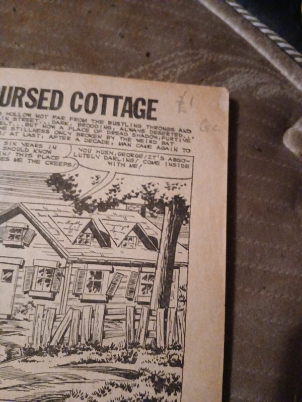 Weird Planets #12 Charlton Sc-Fi & Horror Reprints Alan Class c1965 Silver Age