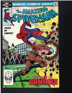 Amazing Spider-Man #221 (Marvel, 1981)
