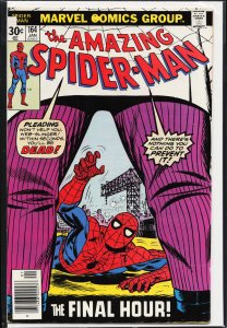The Amazing Spider-Man #164 (1977) Spider-Man