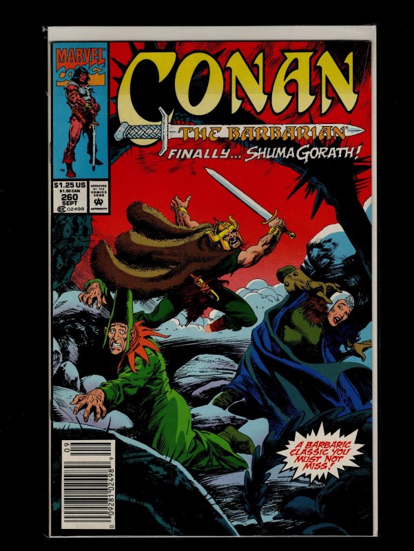Conan the Barbarian #246,251,252,253,254,255,256,257,258,259,260 (1991)