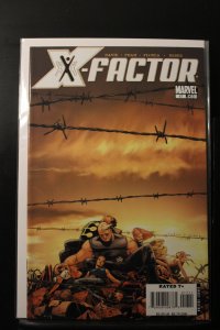 X-Factor #17 (2007)