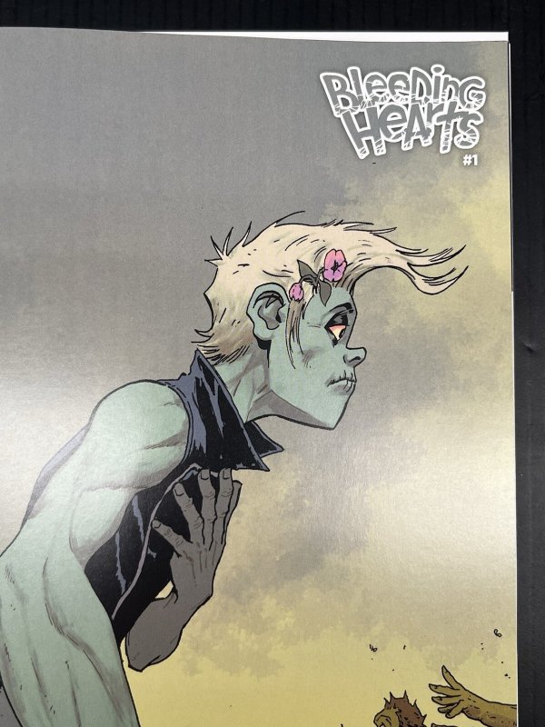Bleeding Hearts #1 CVR C Nick Dragotta VAR NM+ VERTIGO COMICS 2026 PROSHIPPER
