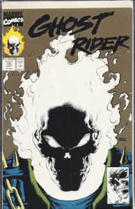 Ghost Rider #15 Second Print Cover (1991) Ghost Rider