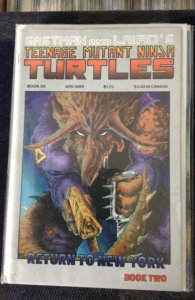 Teenage Mutant Ninja Turtles #19 (1989)