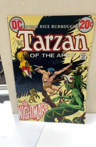 Edgar Rice Burroughs' Tarzan #214 (1972)