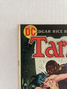 Tarzan #217 DC
