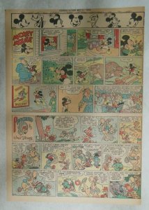 Mickey Mouse Sunday Page by Walt Disney from 5/6/1945 Tabloid Page Size