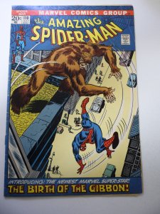 The Amazing Spider-Man #110 (1972) VG/FN Condition